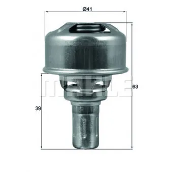 Thermostat d'eau BEHR TX 174 86