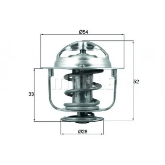 Thermostat d'eau BEHR TX 176 82D
