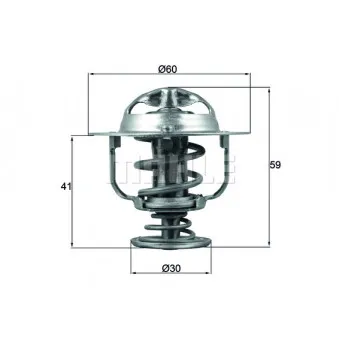 Thermostat d'eau BEHR TX 177 82D
