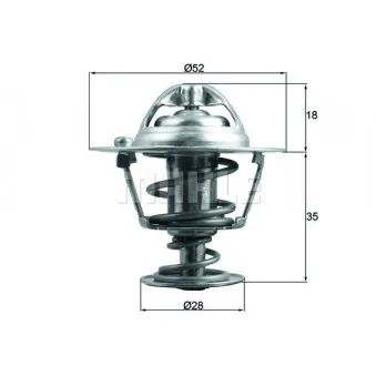 Thermostat d'eau BEHR TX 184 78D