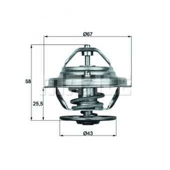 Thermostat d'eau BEHR