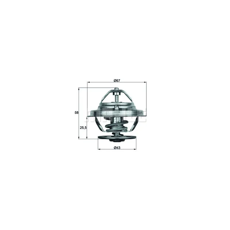 Thermostat d'eau BEHR TX 19 75D