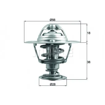 Thermostat d'eau BEHR TX 199 88D
