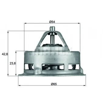Thermostat d'eau BEHR TX 2 79