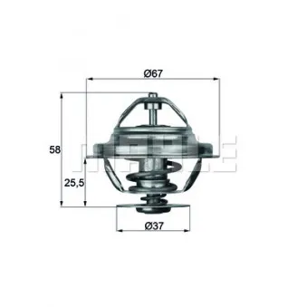 Thermostat d'eau BEHR TX 20 80D