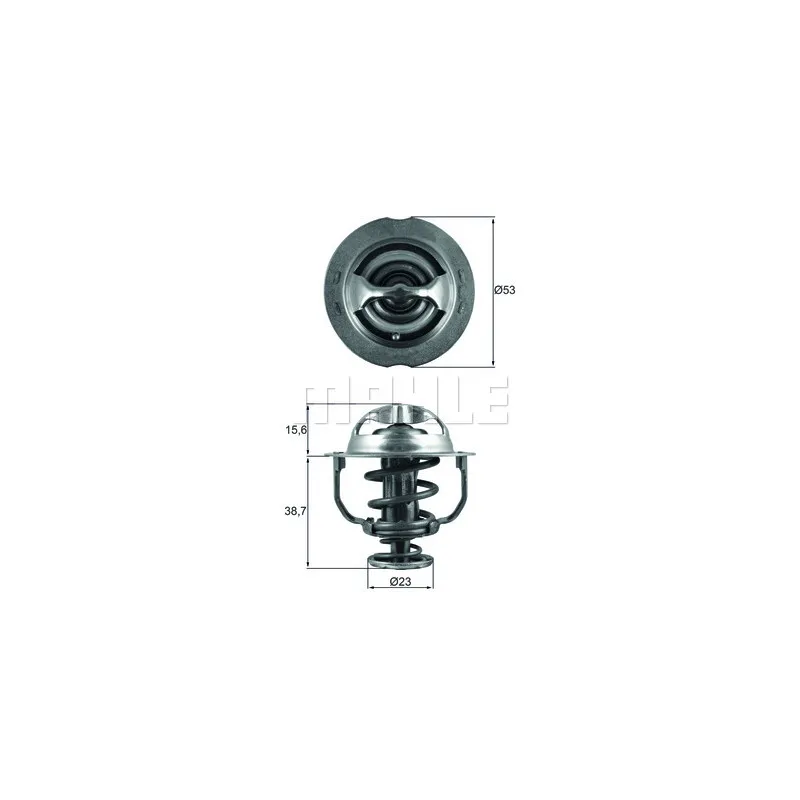 Thermostat d'eau BEHR TX 200 90D