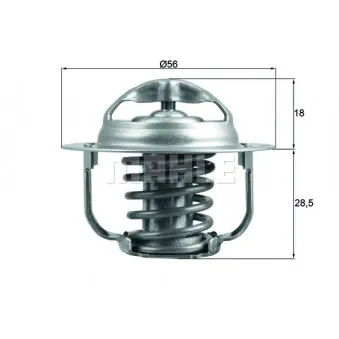 Thermostat d'eau BEHR TX 201 86D