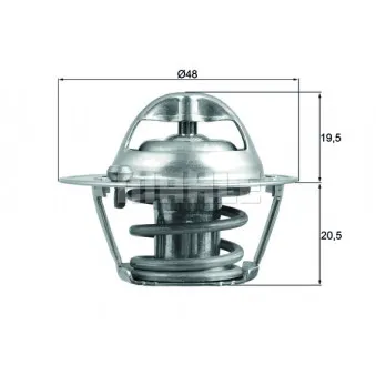 Thermostat d'eau BEHR TX 204 82D