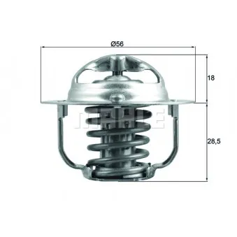 Thermostat d'eau BEHR TX 208 91D