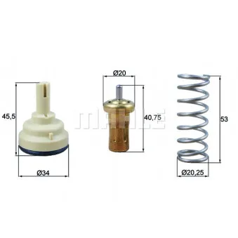 Thermostat d'eau BEHR TX 209 80D