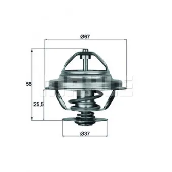 Thermostat d'eau BEHR TX 21 80D
