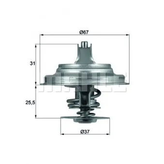 Thermostat d'eau BEHR TX 25 80D