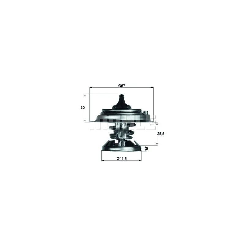 Thermostat d'eau BEHR TX 29 85D