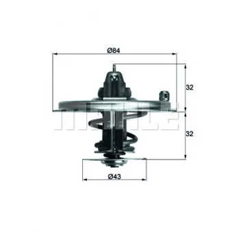 Thermostat d'eau BEHR TX 36 80D