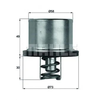 Thermostat d'eau BEHR TX 37 79