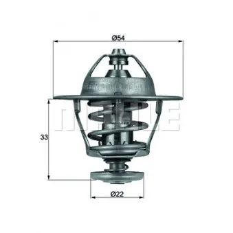 Thermostat d'eau BEHR TX 53 85D
