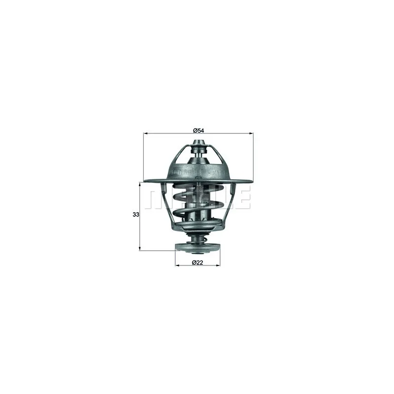 Thermostat d'eau BEHR TX 53 85D
