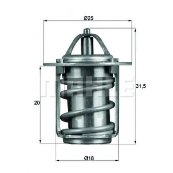 Thermostat d'eau BEHR TX 6 83