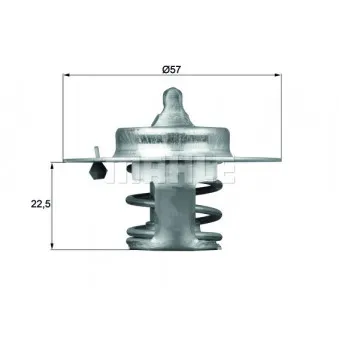 Thermostat d'eau BEHR TX 60 83D