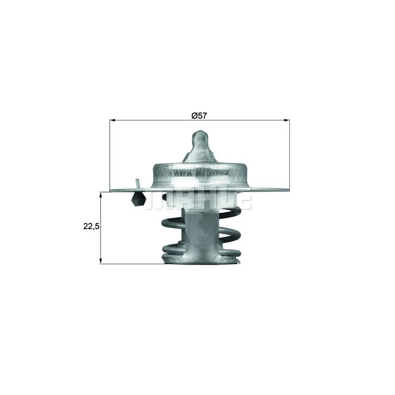 Thermostat d'eau BEHR TX 60 83D