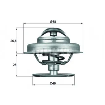 Thermostat d'eau BEHR TX 62 89