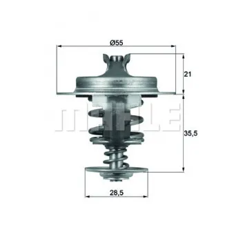 Thermostat d'eau BEHR TX 67 83D