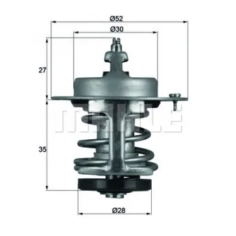 Thermostat d'eau BEHR TX 69 79