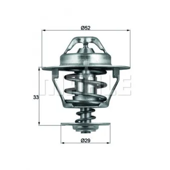 Thermostat d'eau BEHR TX 77 88D