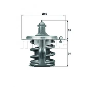 Thermostat d'eau BEHR TX 79 78D