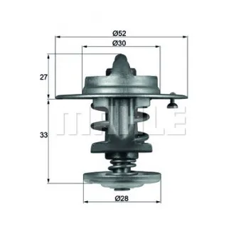 Thermostat d'eau BEHR TX 80 83