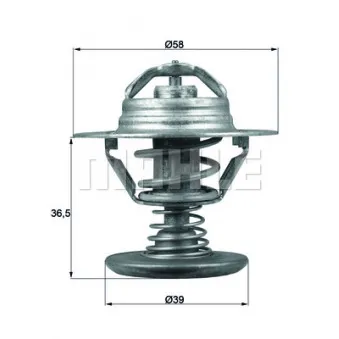 Thermostat d'eau BEHR TX 94 82D