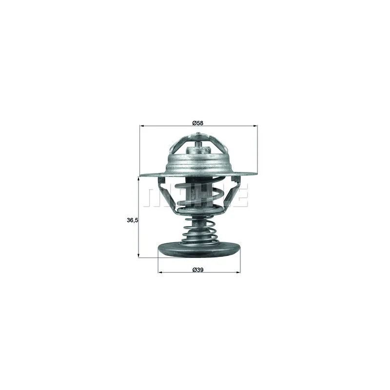 Thermostat d'eau BEHR TX 94 82D