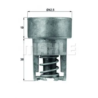 Thermostat d'eau BEHR TX 98 75