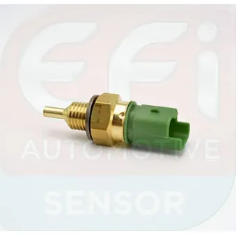 Sonde de température, liquide de refroidissement EFI AUTOMOTIVE 144332