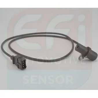 Capteur d'angle, vilebrequin EFI AUTOMOTIVE