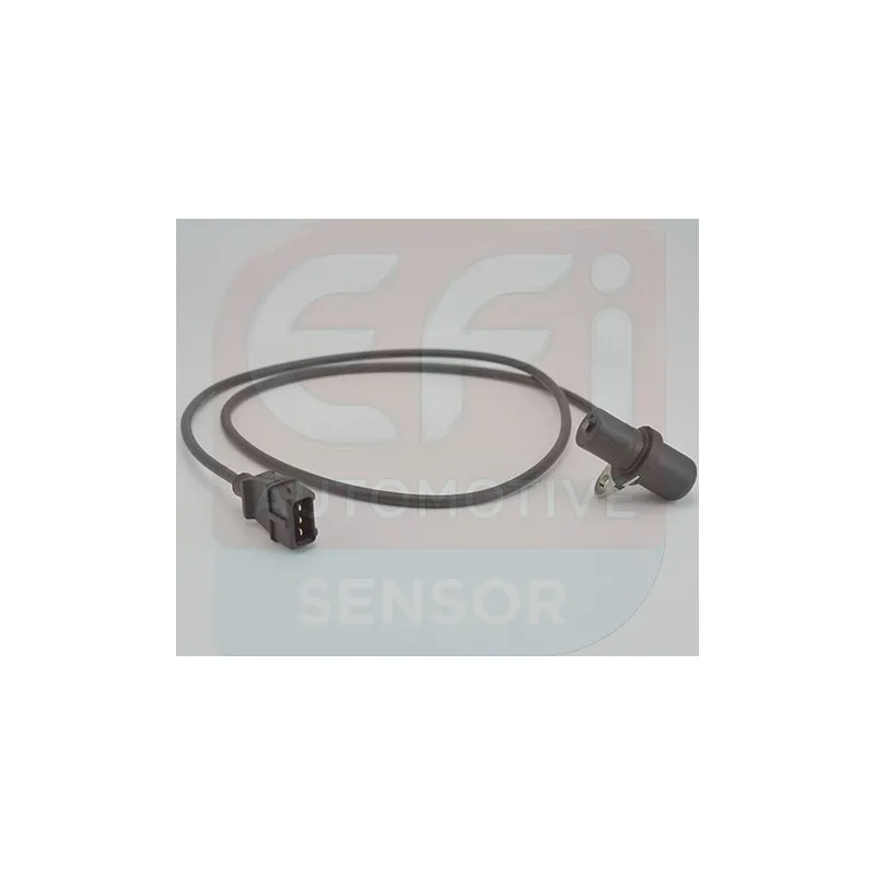 Capteur d'angle, vilebrequin EFI AUTOMOTIVE 147204