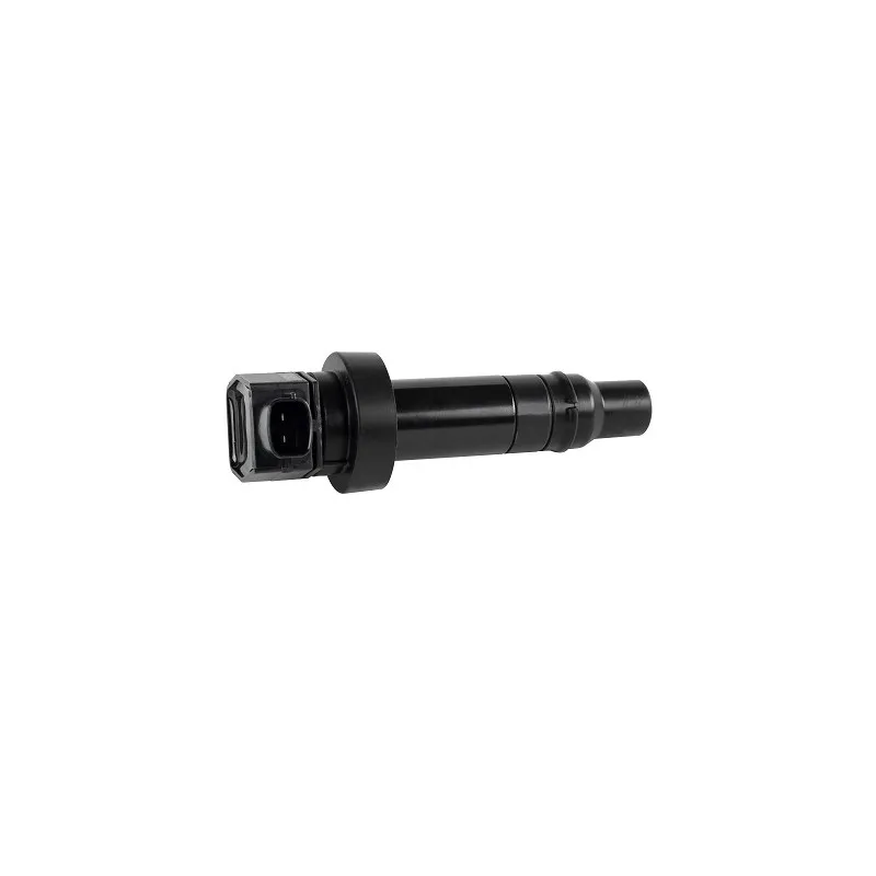 Bobine d'allumage EFI AUTOMOTIVE 155384