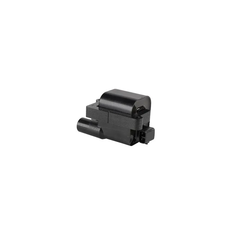 Bobine d'allumage EFI AUTOMOTIVE 155387