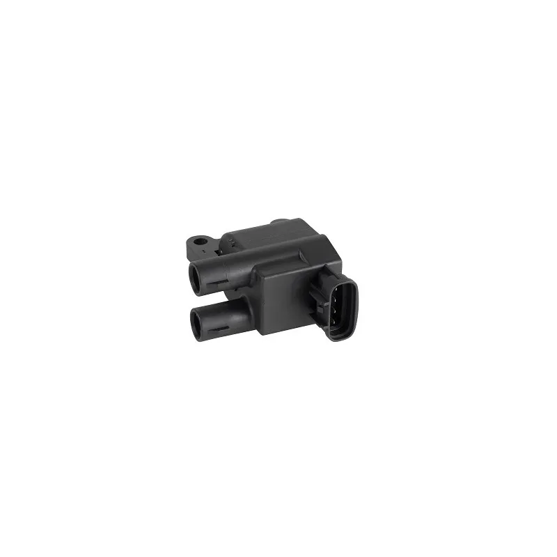 Bobine d'allumage EFI AUTOMOTIVE 155436