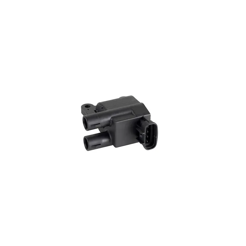 Bobine d'allumage EFI AUTOMOTIVE 155437