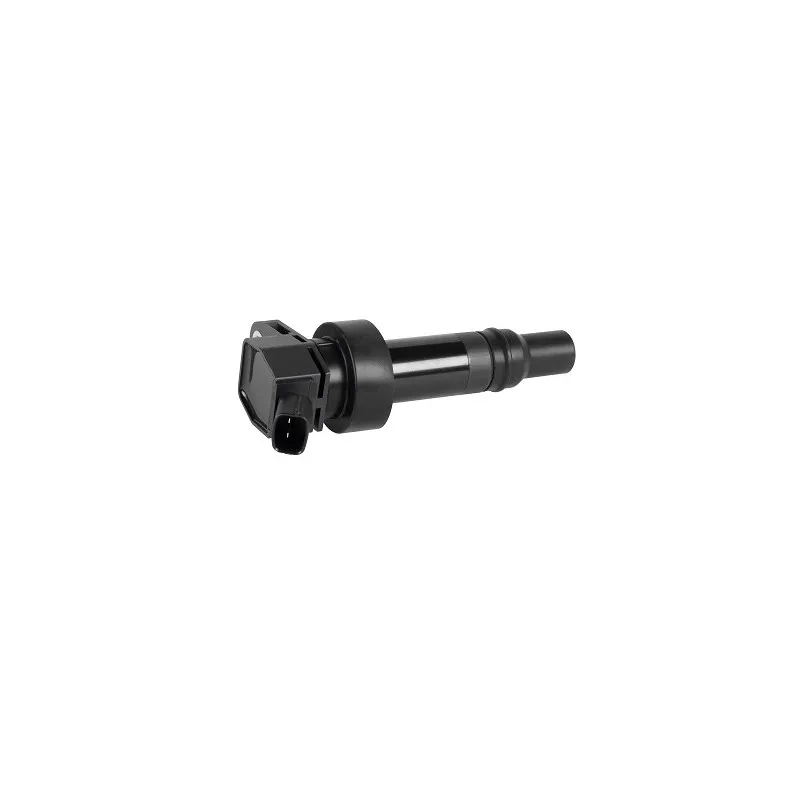 Bobine d'allumage EFI AUTOMOTIVE 155458