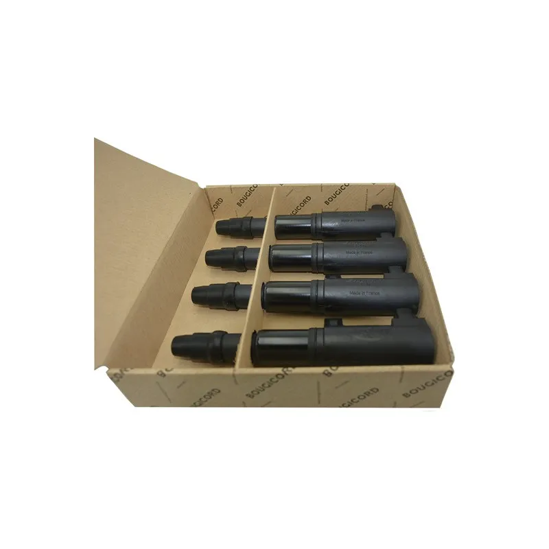 Bobine d'allumage EFI AUTOMOTIVE 156200P