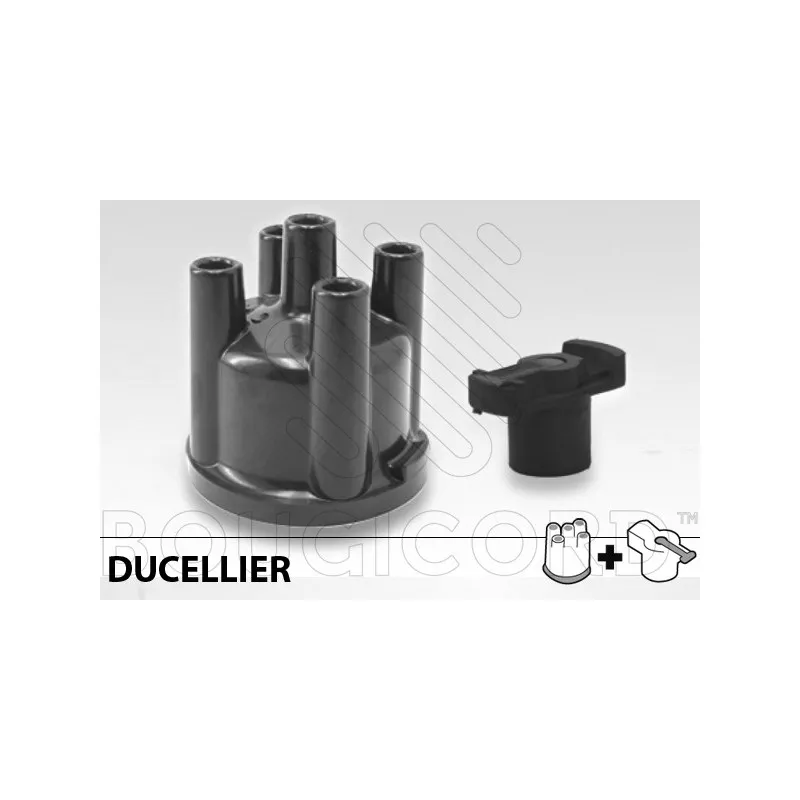 Kit d'assemblage, unité d'allumage EFI AUTOMOTIVE 160328