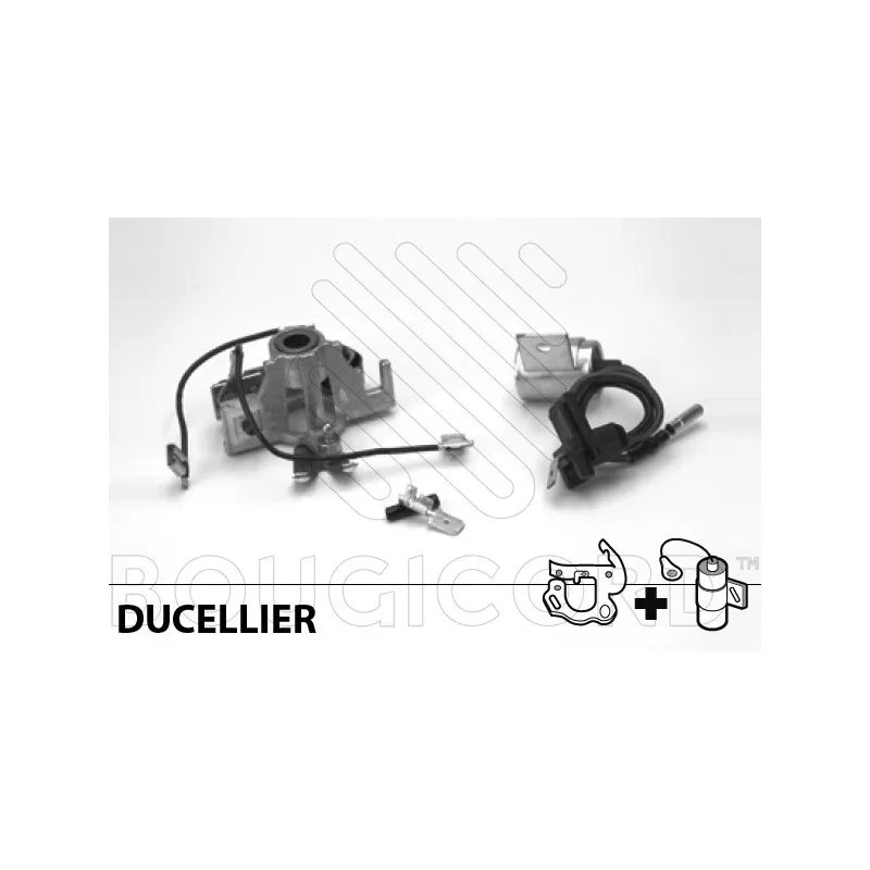 Kit d'assemblage, unité d'allumage EFI AUTOMOTIVE 160510