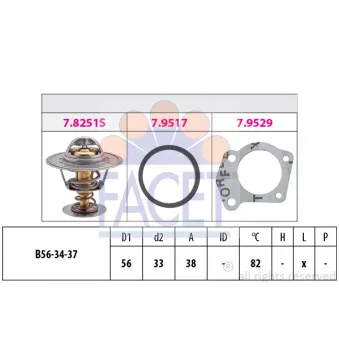 Thermostat d'eau FACET 7.8251