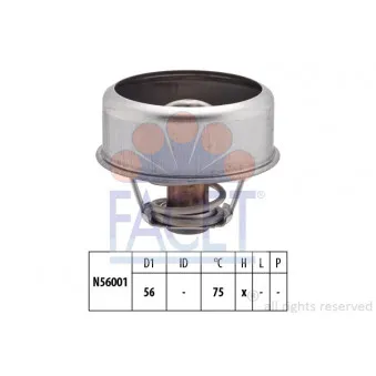 Thermostat d'eau FACET 7.8252
