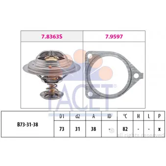 Thermostat d'eau FACET 7.8441