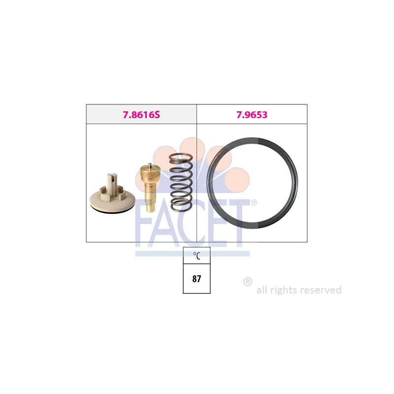 Thermostat d'eau FACET 7.8616