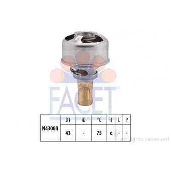 Thermostat d'eau FACET 7.8628