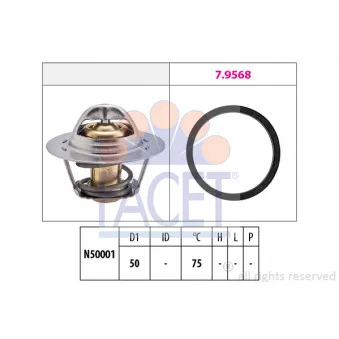 Thermostat d'eau FACET 7.8721